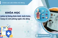 Giải phẫu hệ thống thần kinh, tuần hoàn, nội tạng và cách phòng ngừa chủ động