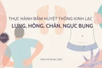 Thực hành bấm huyệt thông kinh lạc: Lưng, hông, chân, ngực bụng