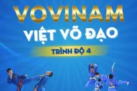 Vovinam Việt Võ Đạo trình độ 4