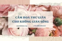 Cắm hoa thư giãn cho không gian sống